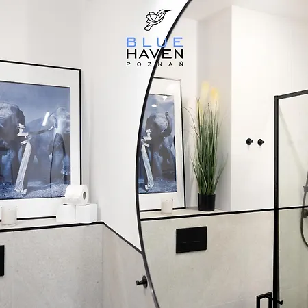 And Blue Haven * Poznań