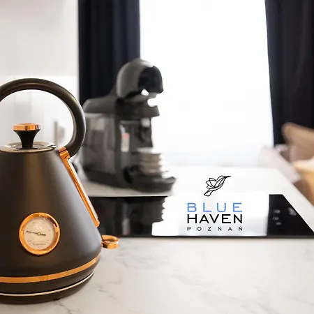 And Blue Haven * Познань