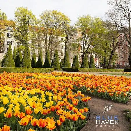 And Blue Haven Apartment