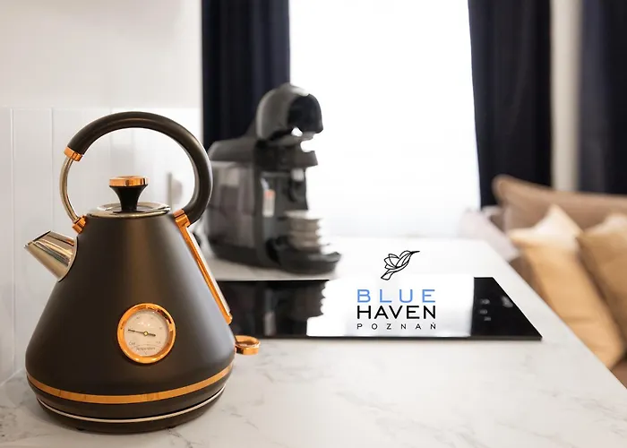 And Blue Haven * Poznań