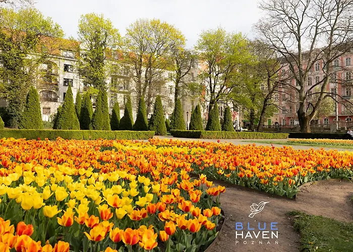 And Blue Haven Apartment